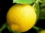 limone